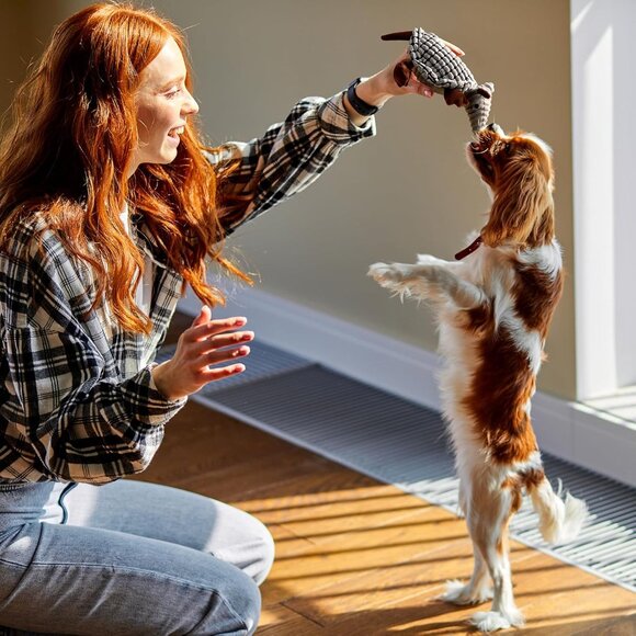 Plush Dog Squeaky Toy Stuffed Armadillo Animal Pet Puppy Chew Toys with Clean Te - Picture 8 of 8